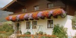 sommer-haus4