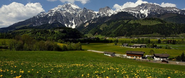 sommer-wiese